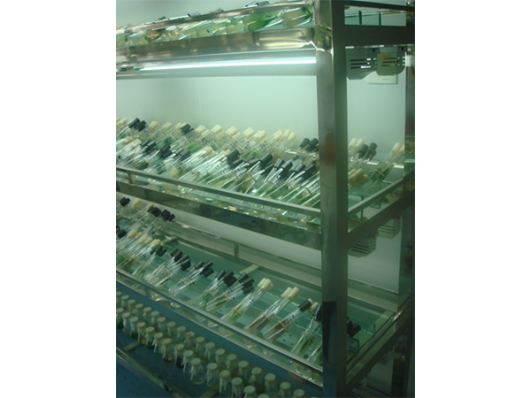 不锈钢置物架应用于医疗车间